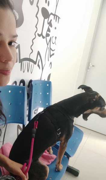 Foto 1 Tribo dos Pets