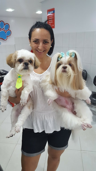 Foto 0 Polivet: Clínica Veterinária & Pet Shop