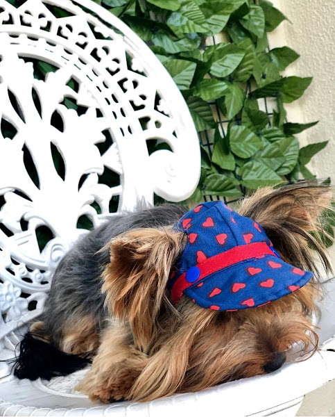 Foto 3 MONALINDA'S PET