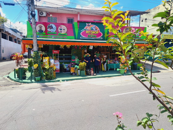 Foto 0 Pet Shop É o Bicho