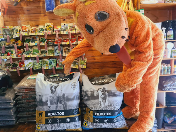 Foto 2 Pet Shop É o Bicho