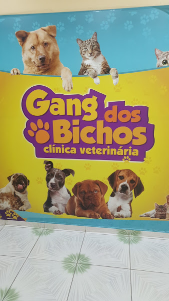 Foto 0 Clínica Veterinária & Pet shop Gang dos Bichos