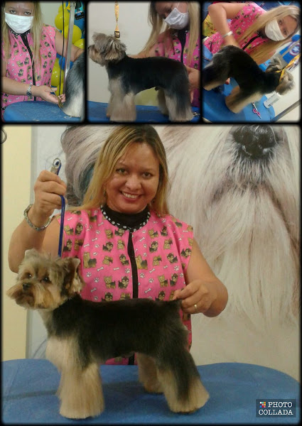 Foto 1 Amira pet boutique