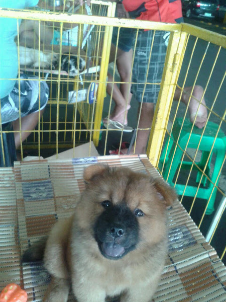 Foto 2 Art's Odontologia Estética e Implantes