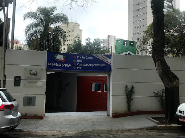 Foto 3 La Petite Sophie - Escola e Comportamento para cães de pequeno porte