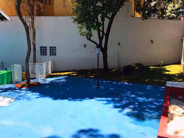 Foto 5 La Petite Sophie - Escola e Comportamento para cães de pequeno porte