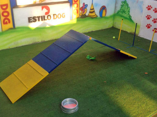 Estilo Dog Educação Canina | Santos Estilo Dog Educação Canina | Santos