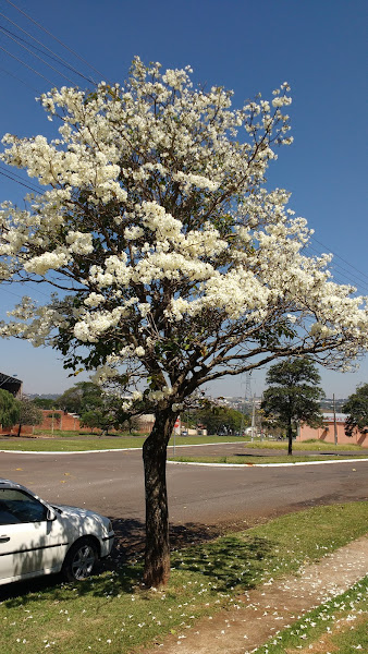 Foto 2 P&G Moveis Planejados