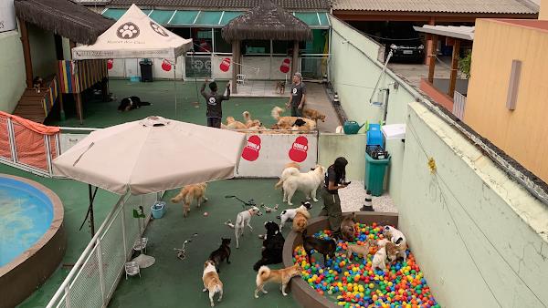 Resort dos Cães Resort dos Cães