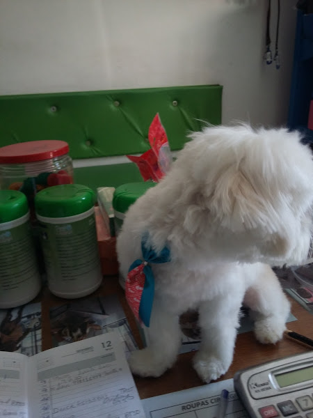 Clínica Veterinária Cão Guru