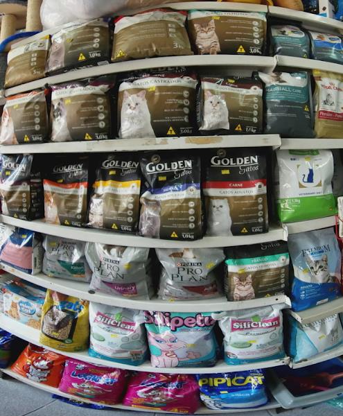 Foto 3 Nakazone Nakazone