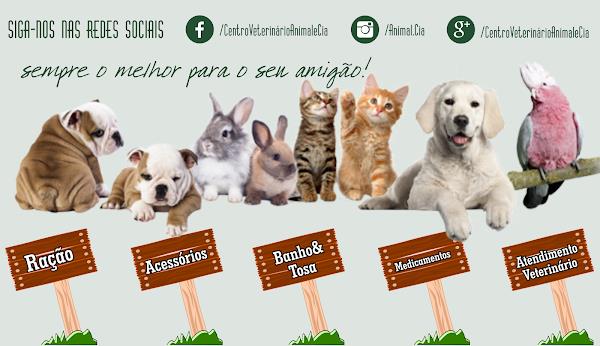 Foto 5 Centro Veterinário Animal & Cia