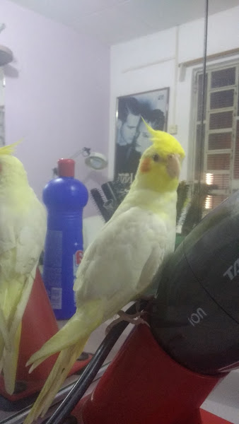 Foto 3 Casa doa Pizza Foto 3 Casa doa Pizza