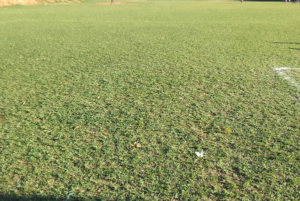 Foto 1 Campo do Limoeiro