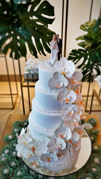 Foto 0 Bela Emília Loft