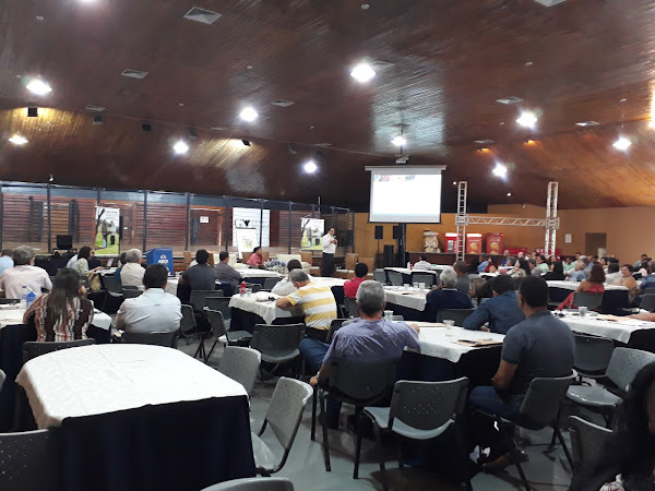 Foto 5 Tatersal Rubico de Carvalho