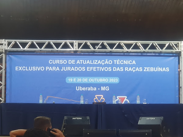 Foto 7 Tatersal Rubico de Carvalho