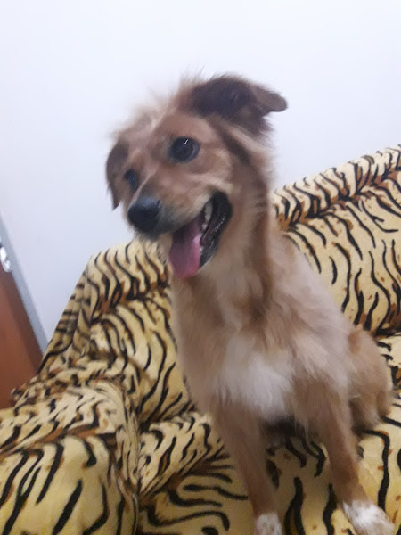 Spazio Itália Spazio Itália