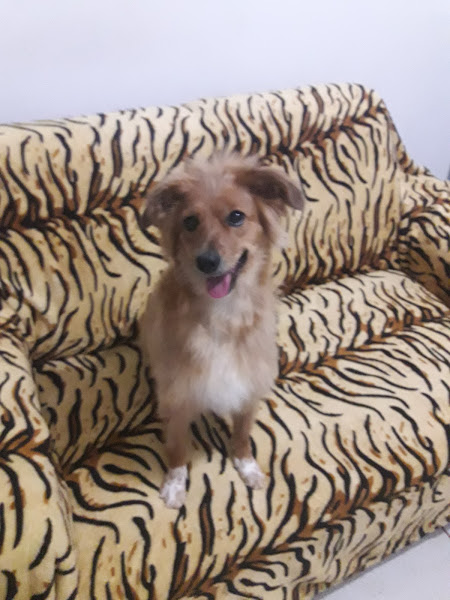 Foto 1 Spazio Itália