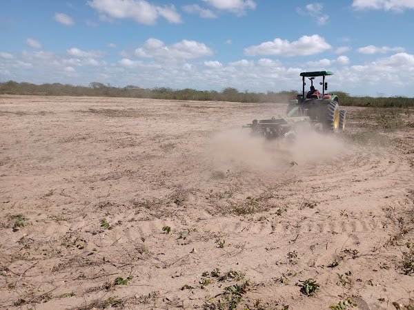 Toca do Goipinho Toca do Goipinho