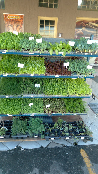 Foto 2 Rações Portugal