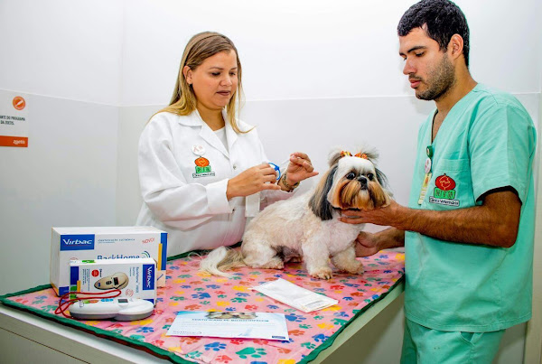 Vet Dort Hospital Veterinário Vet Dort Hospital Veterinário