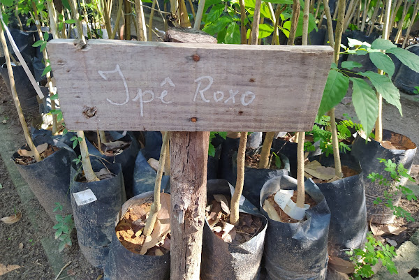 Horto Municipal Horto Municipal