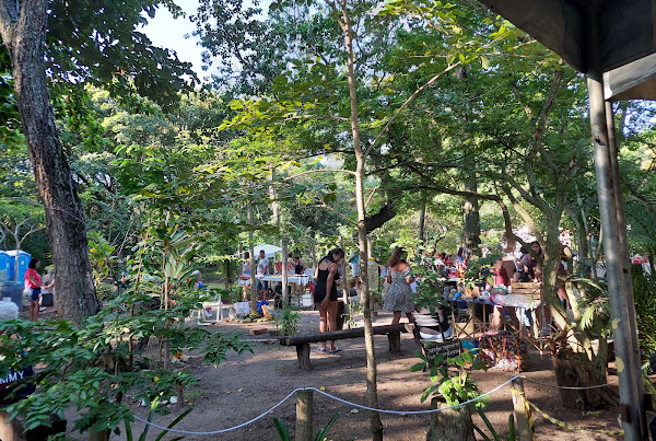 Foto 1 Horto Municipal