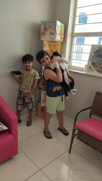 Foto 3 Meau & Cia Veterinária Foto 3 Meau & Cia Veterinária