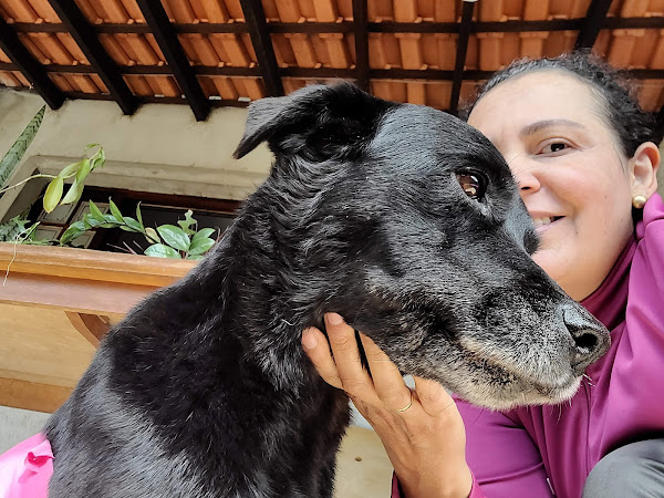 Nipon Pet & Hospital 24hr Nipon Pet & Hospital 24hr