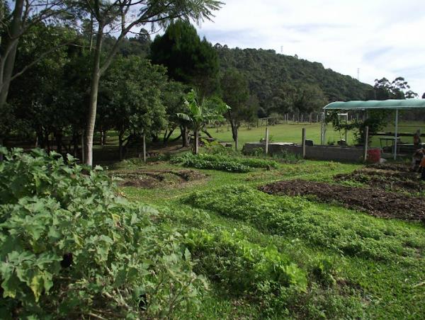 Escola dos Sonhos Escola dos Sonhos
