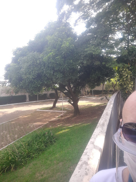 Foto 2 Bella & Paulista Pizzaria a melhorPizzaria da região com massa fina crocante sem fermento