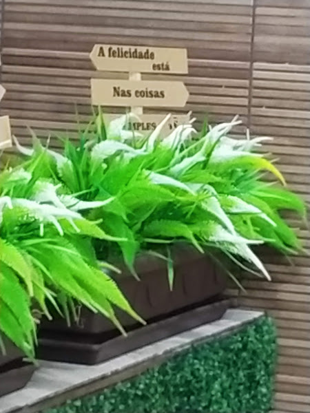 Foto 2 Pizzaria Master Sabor