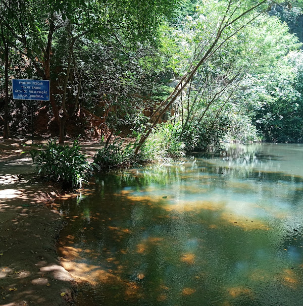 Parque Samambaia Parque Samambaia