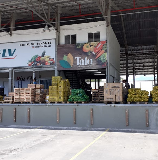 Talo Distribuidora Talo Distribuidora