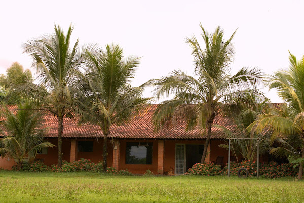 Chácara 10 Chácara 10