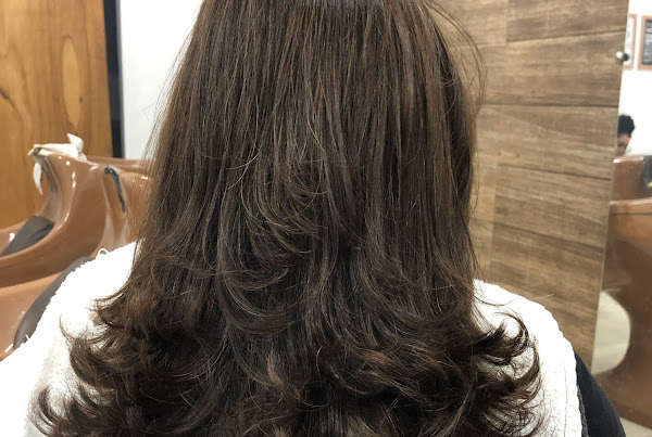 Jessie cabeleireira Jessie cabeleireira